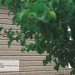 Сайдинг Ю-Пласт TIMBERBLOCK Пихта (Тимберблок) Cахалинская купить в Егорьевске
