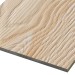 Фиброцементные панели FCSPRO Decor Wood Лиственница купить в Егорьевске