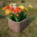 Цветник КАНЬОН купить в Егорьевске