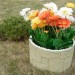 Цветник КАНЬОН купить в Егорьевске