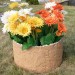 Цветник КАНЬОН купить в Егорьевске