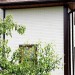 Фасадная панель Grand Line Сланец молочный купить в Егорьевске